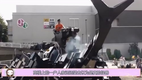 日本驚現巨型機械甲蟲汽車 七旬研發者11載匠心鑄就，推動機械設備租賃新篇章